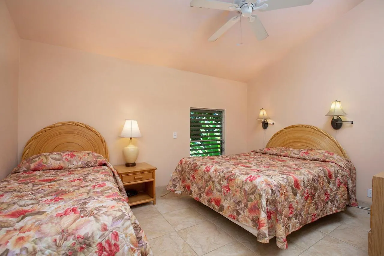Casa vacanze Ocean Views & Turtle Watching - Ks B3 Sullivan Kahana Stati Uniti