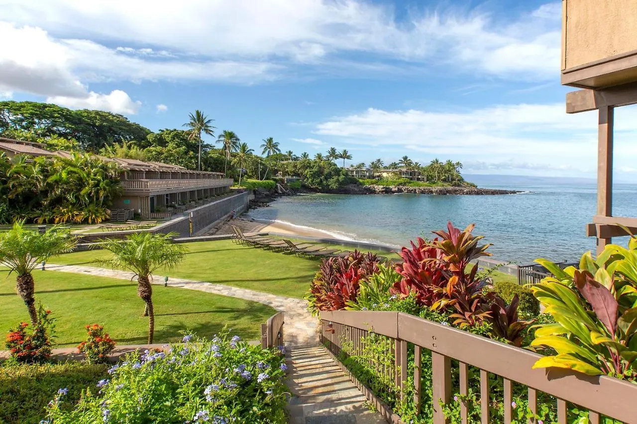 Ocean Views & Turtle Watching - Ks B3 Sullivan Kahana